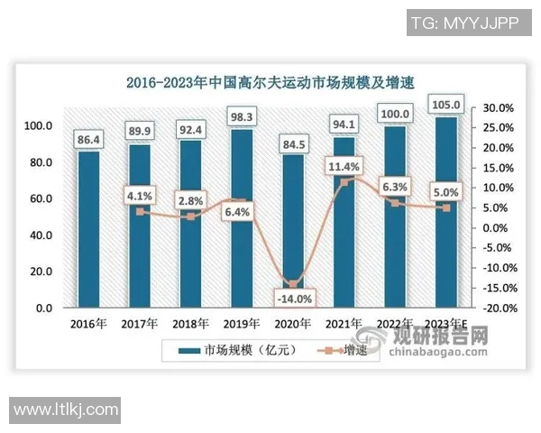 武汉羽毛球队近期状态深度对比分析及未来发展趋势探讨