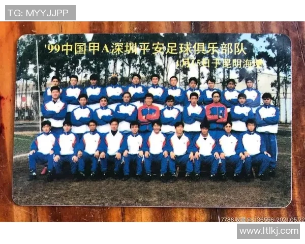 深圳排球队的蜕变之旅:从传统强队到现代化竞技新标杆 深圳排球队的蜕变之旅:从传统强队到现代化竞技新标杆